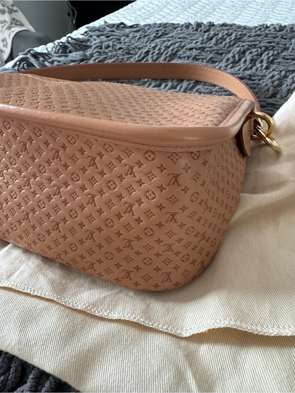 NWT Louis Vuitton Diane Hazelnut Mini Monogram  Leather Shoulder/Crossbody Bag - Picture 7 of 13